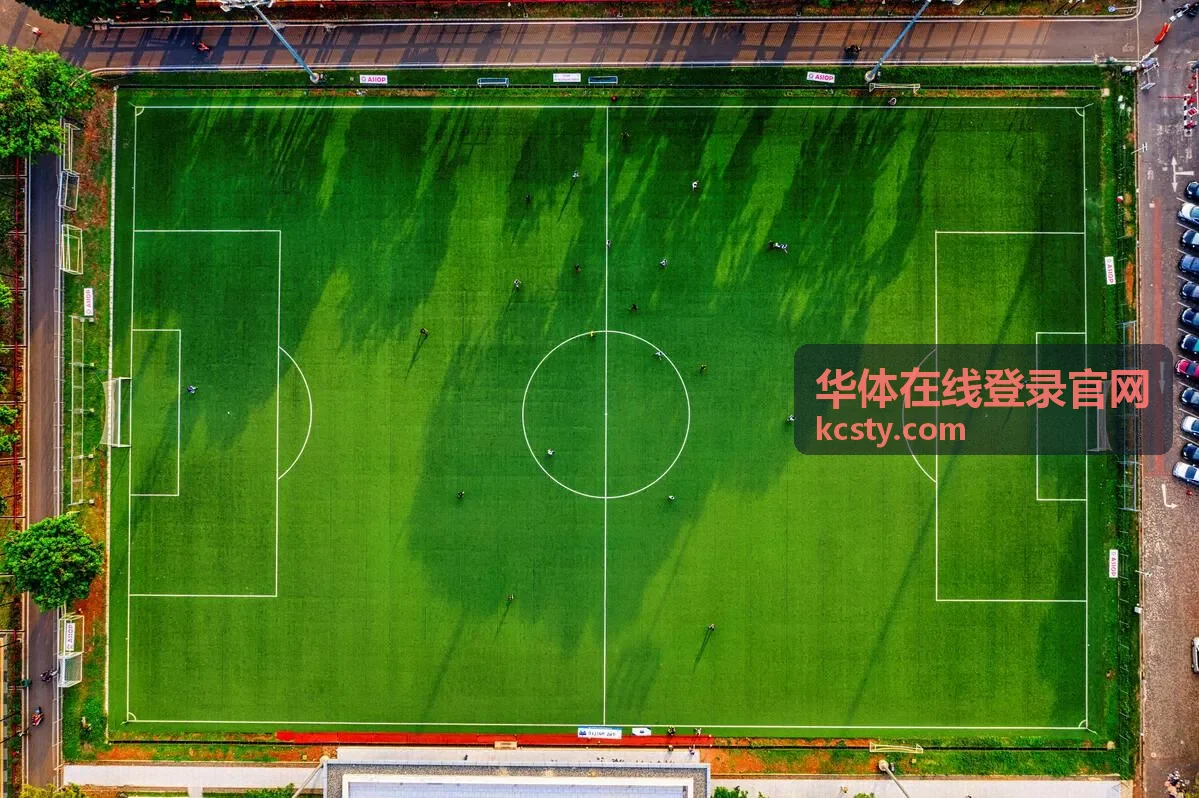 华体在线登录官网文章配图封面