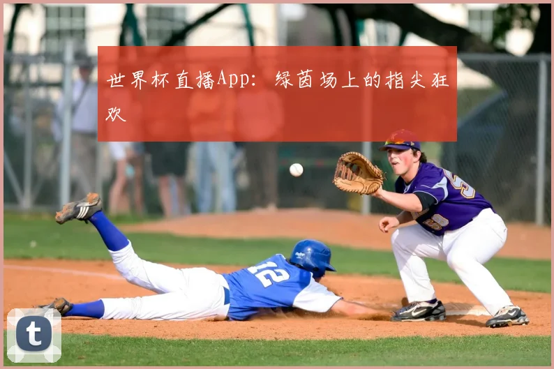 世界杯直播App：绿茵场上的指尖狂欢