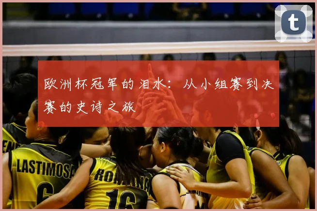 欧洲杯冠军的泪水:从小组赛到决赛的史诗之旅