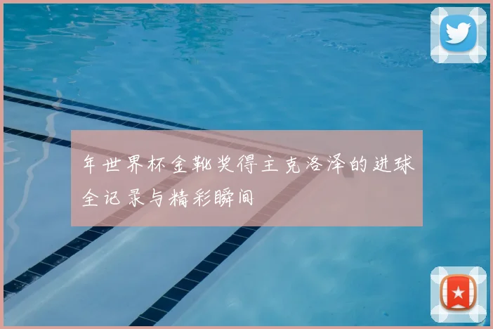 年世界杯金靴奖得主克洛泽的进球全记录与精彩瞬间