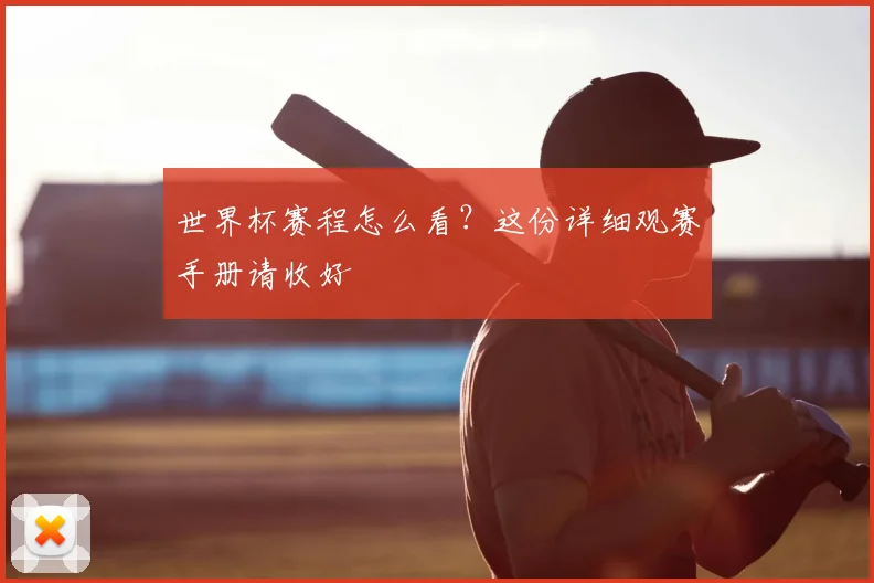世界杯赛程怎么看？这份详细观赛手册请收好